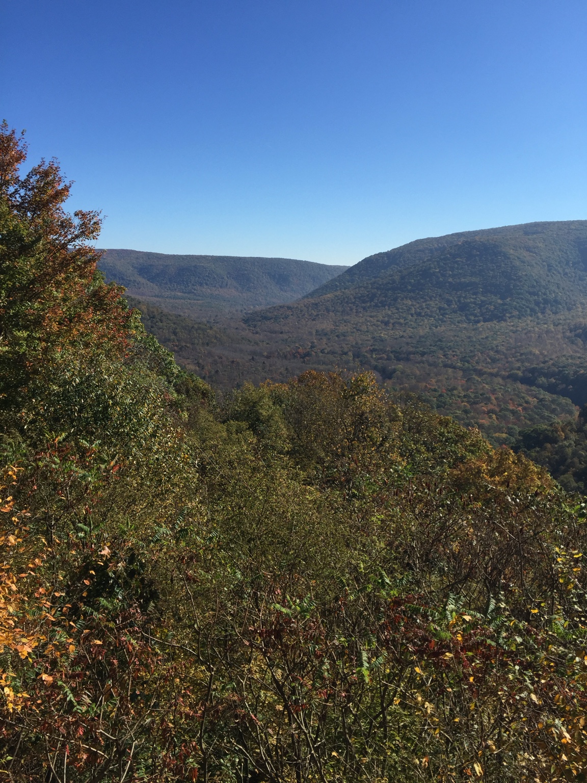 Ohiopyle and Falls Market