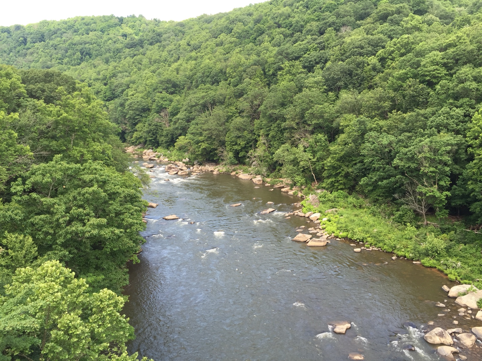 Ohiopyle and Falls Market